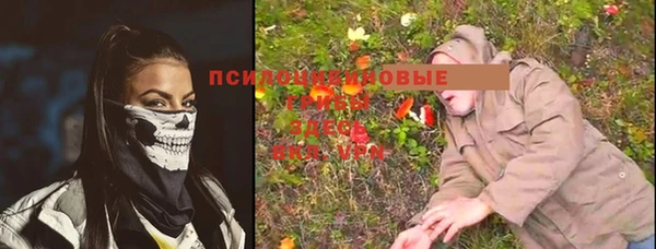 ешки Слюдянка