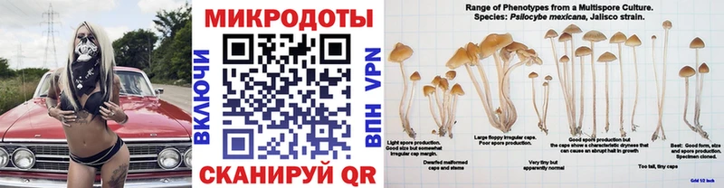 Псилоцибиновые грибы Magic Shrooms  Ивантеевка 