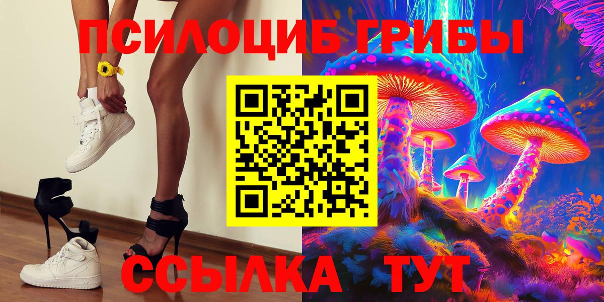 Псилоцибиновые грибы Psilocybe Ивантеевка