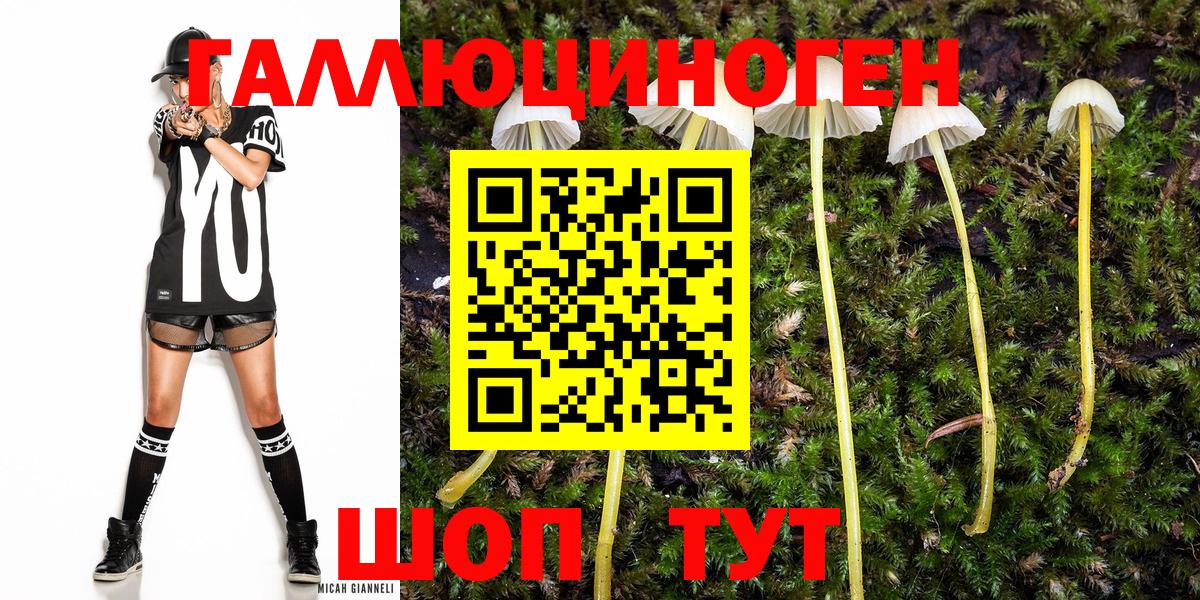 даркнет сайт  Галлюциногенные грибы Psilocybine cubensis  Ивантеевка  Вход с VPN  Галлюциногенные грибы мицелий 